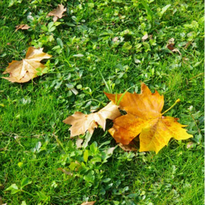 快拨出我是你母亲的歌曲播放电影
