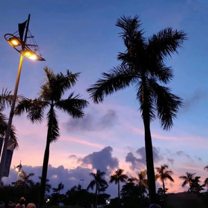 快拨出我是你母亲的歌曲播放电影
