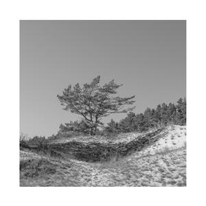 快拨出我是你母亲的歌曲播放电影
